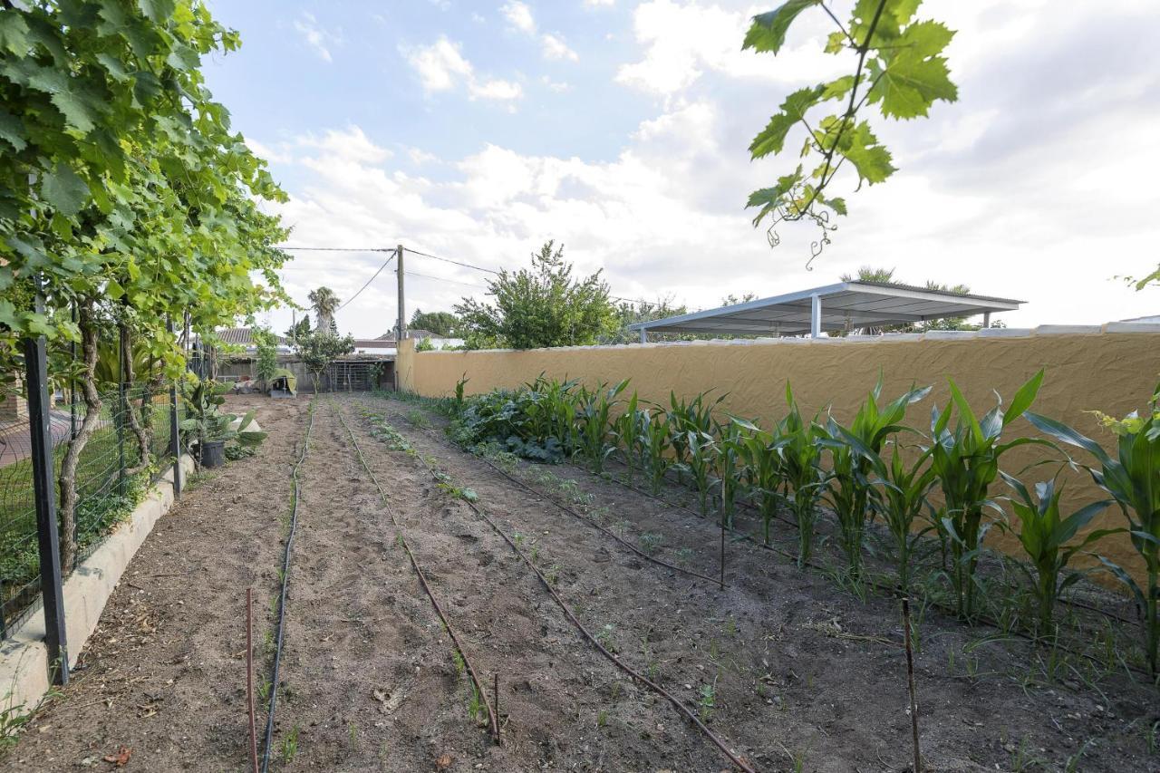 Villa Rincon De La Huerta à Chiclana de la Frontera Extérieur photo